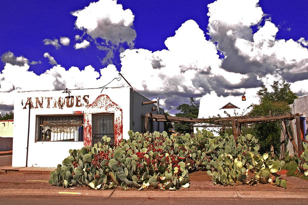 "Antiques" ~ Antiques building in Old Mesilla, NM set against a rich blue sky and fluffy white clouds with jumble of cactus in front.