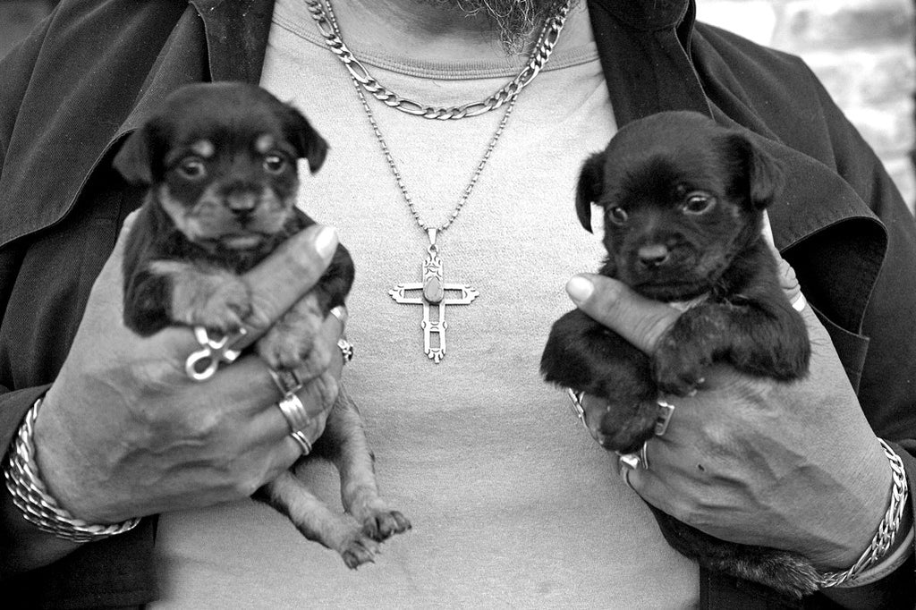 "Bear and Pups" ~ Close up of two puppies held by an man named Bear. Austin, TX