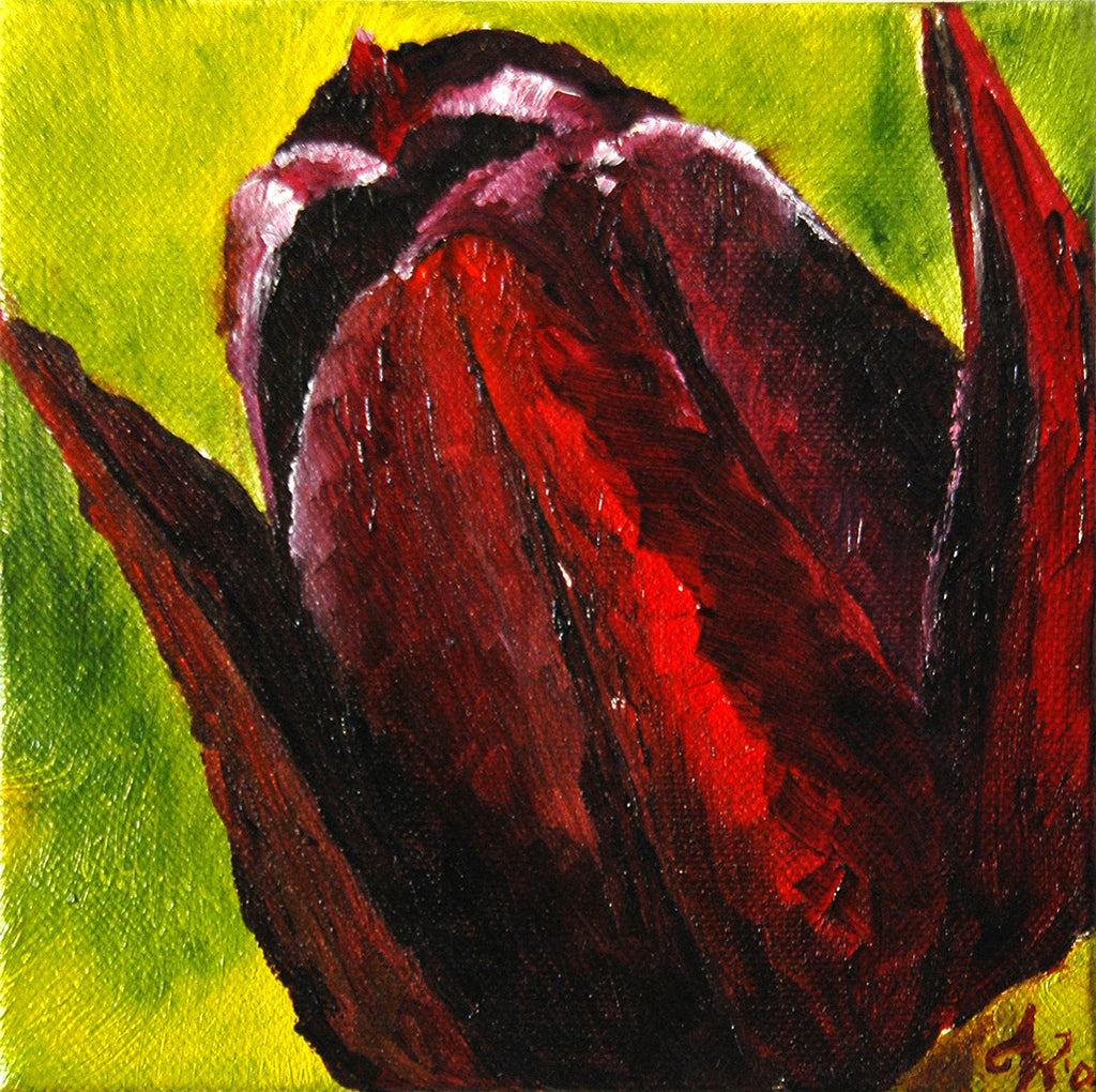"Black Tulip" ~ Oil painting by Ann Woodal of dark red tulip.