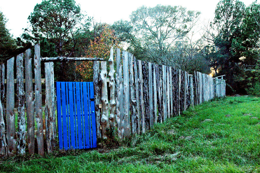 "Blue Door" ~ A wooden fence with a bright blue door in the Texas countryside.