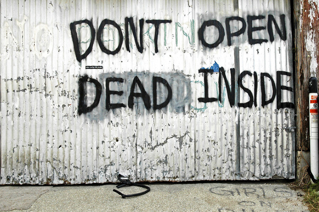 "Don't Open Dead Inside" ~ Graffiti from Walking Dead sprayed on a garage door. Photo by Ann Woodall