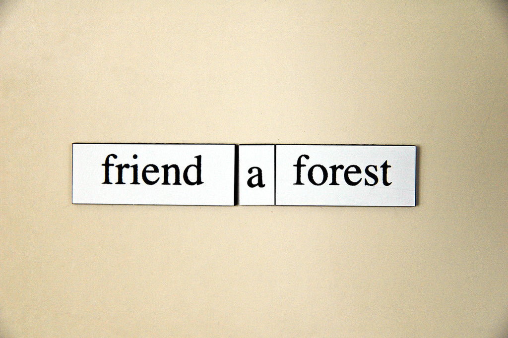 "Friend a Forest" ~ Words from my fridge. Photo by Ann Woodall