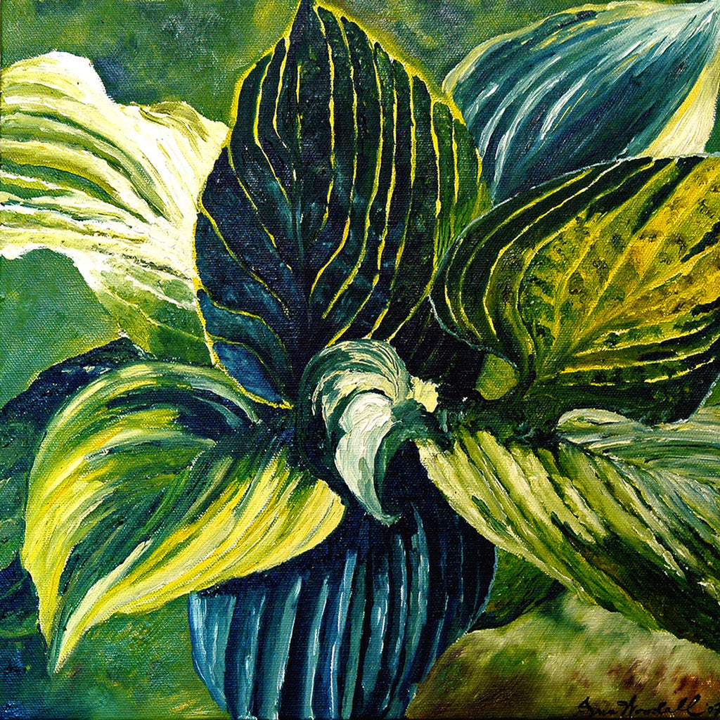 "Hostas" ~ Painting of a hosta plant. Photo by Ann Woodall