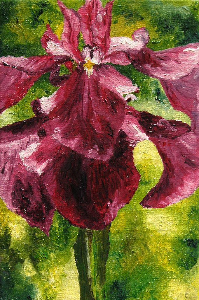 "Tall Iris" ~ Purple iris painting. Photo and painting by Ann Woodall