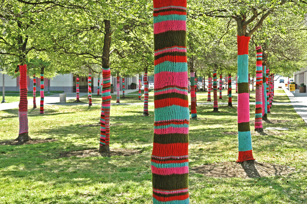 "Yarn Bomb #5" ~ Trees with knitted tree sweaters. Photo by Ann Woodall