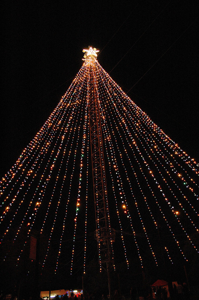 "Zilker Xmas Tree #1" ~ The Zilker Park Christmas tree in Austin, TX. Photo by Ann Woodall