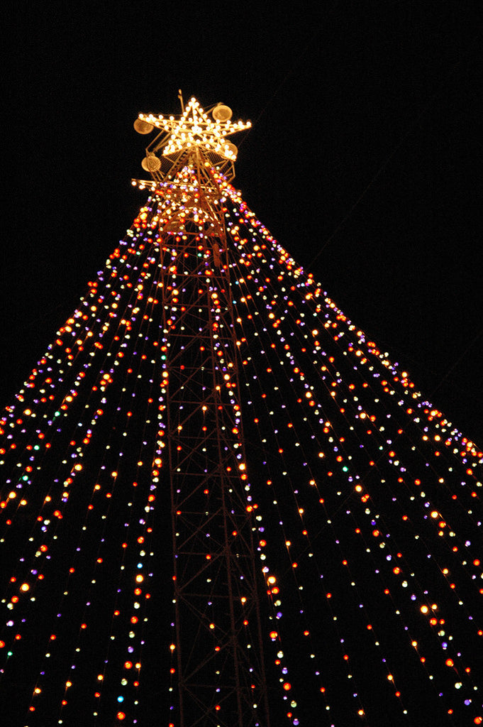 "Zilker Xmas Tree #2" ~ The Zilker Park Christmas tree in Austin, TX. Photo by Ann Woodall