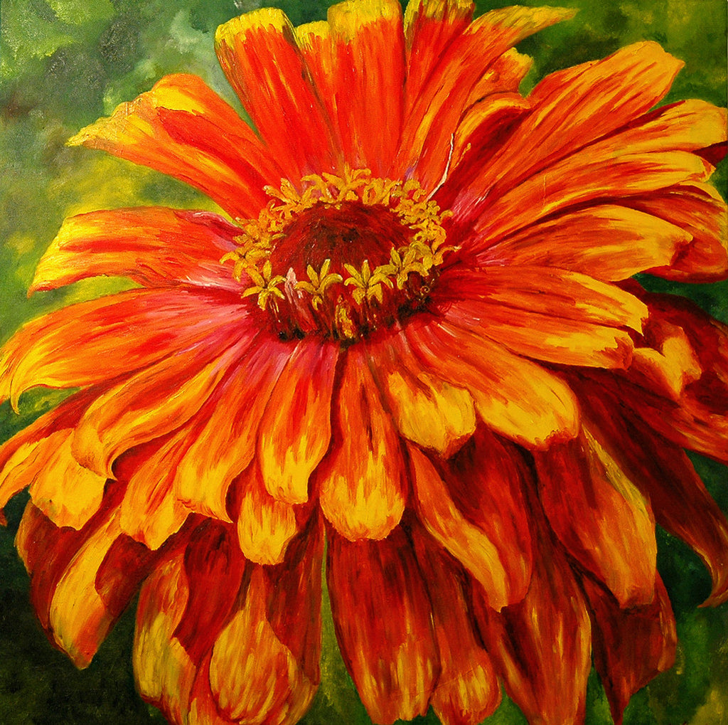 "Zinnia" ~ Oil painting of an orange and yellow zinnia flower. Photo and painting by Ann Woodall