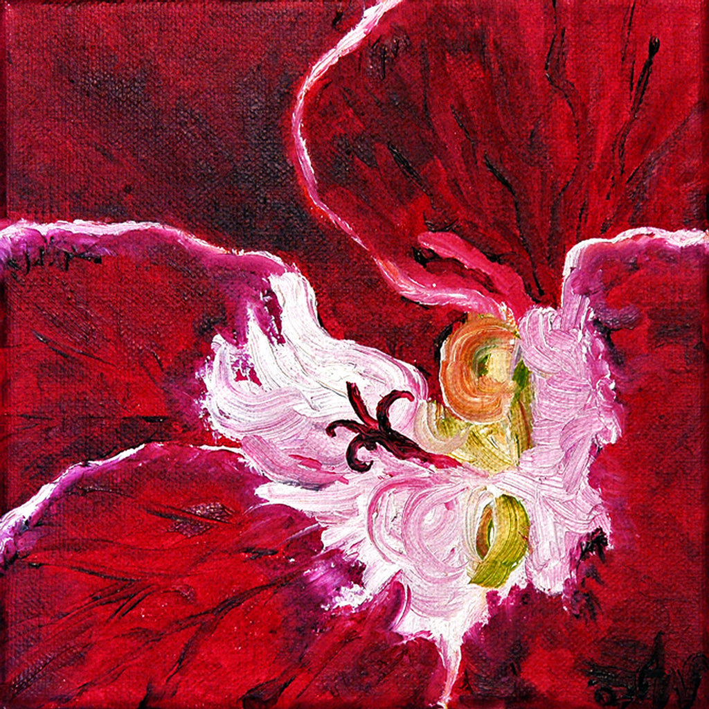 "Angel Pelargonium" ~ Close up image of an oil painting of the red flower by Ann Woodall.