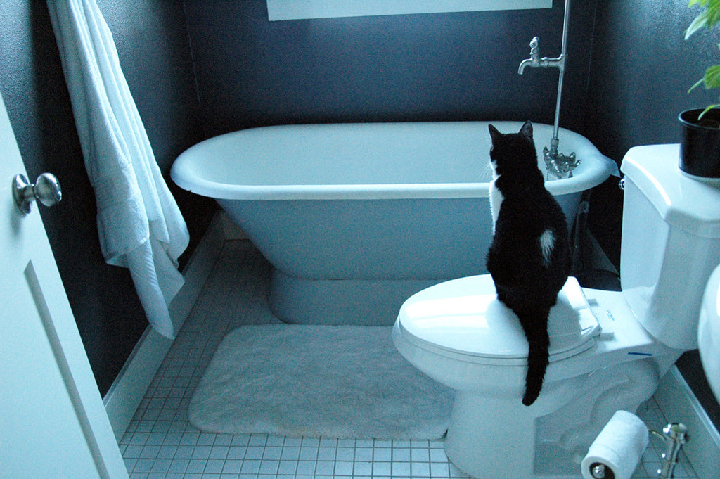 "Contemplation" ~ A black and white cat sits on the toilet staring at the bathtub.