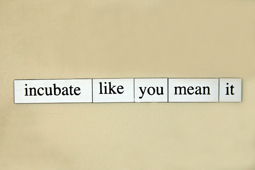 "Incubate Like You Mean It" ~ Words from my fridge. Photo by Ann Woodall.