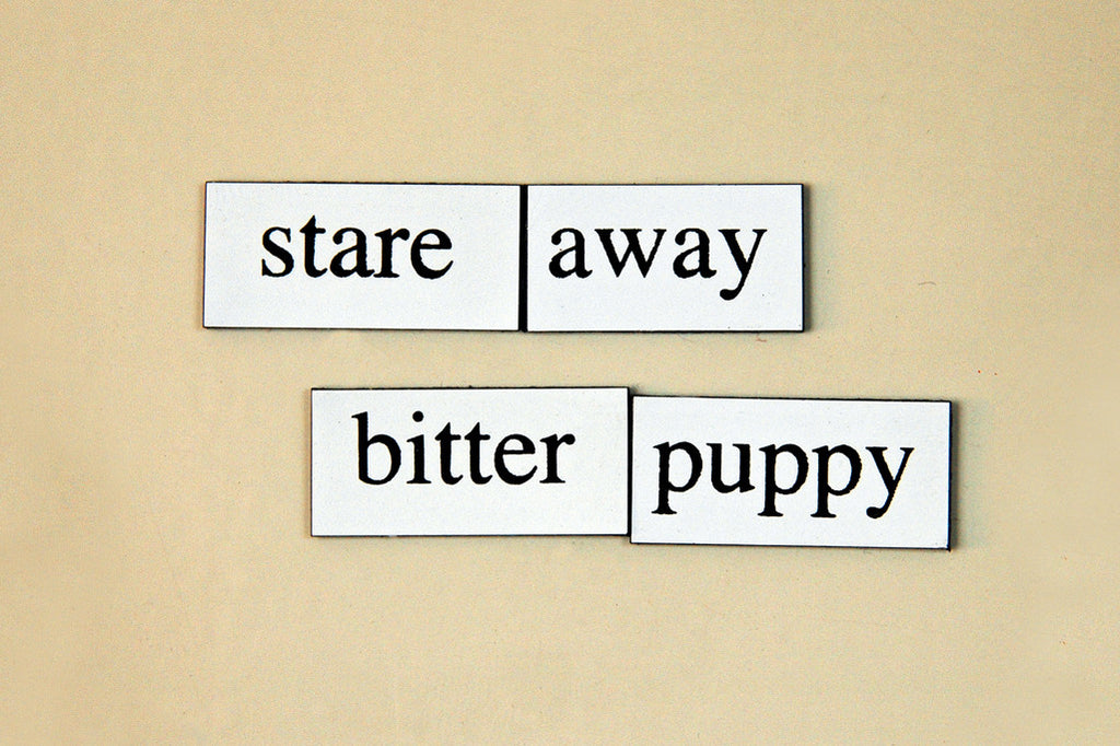 "Stare Away Bitter Puppy" ~ Words from my fridge. Photo by Ann Woodall
