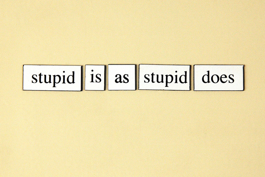 "Stupid Is As Stupid Does" ~ Words from my fridge. Photo by Ann Woodall