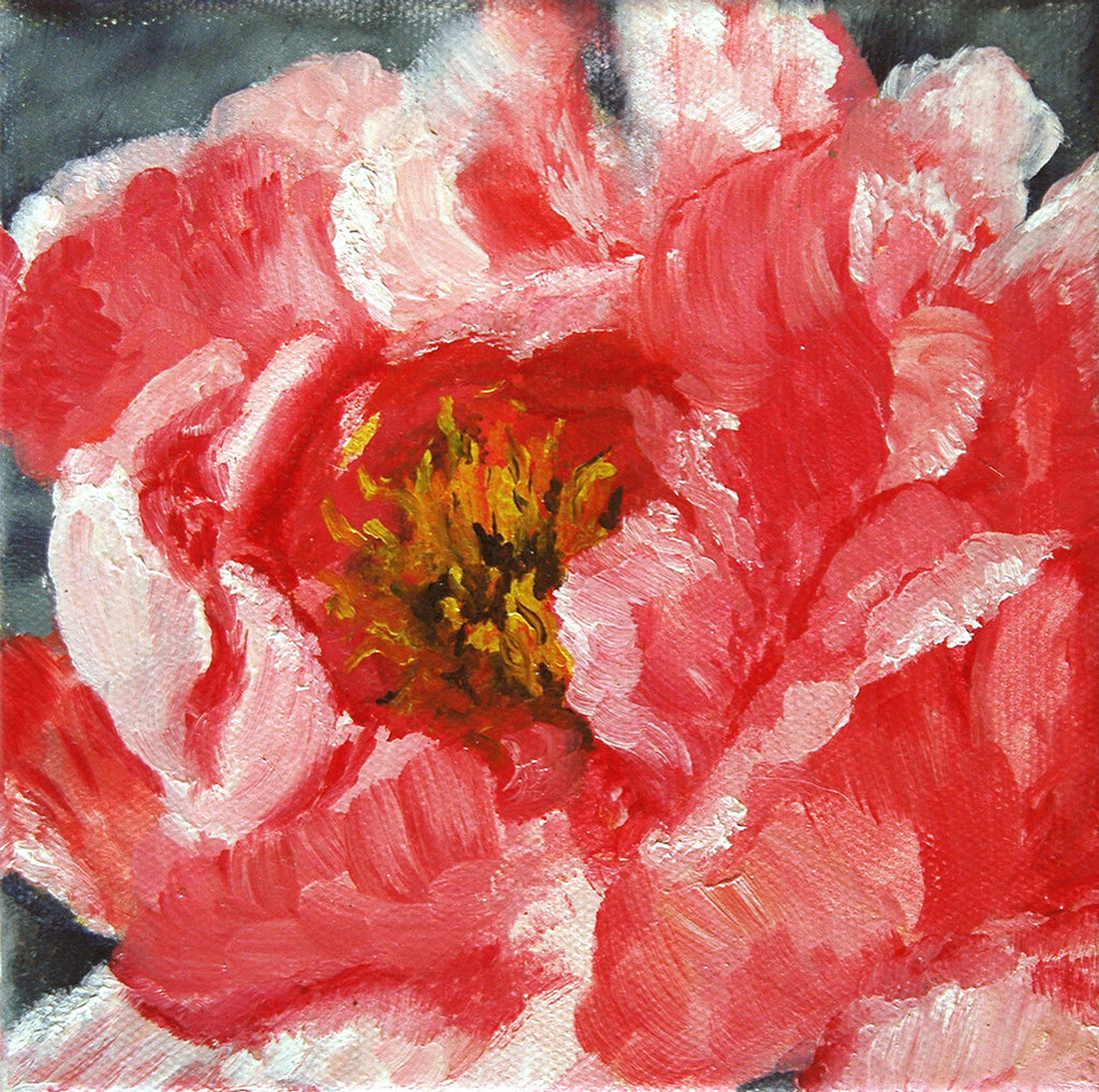 "Pink Peony" ~ Oil painting of a pink peony. Photo and painting by Ann Woodall