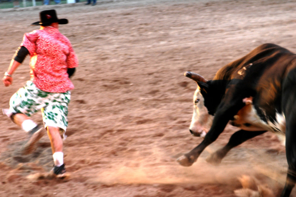 "Playground" ~ A bull chases rodeo clown in Del Rio, TX. Photo by Ann Woodall