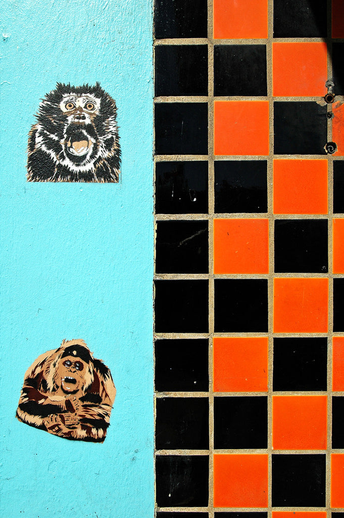 "Primate Wall" ~ Monkey stickers on a blue wall next to an orange and black checkered wall. Photo by Ann Woodall