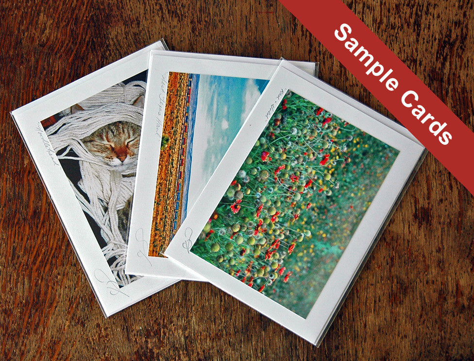 Image of sample handmade greeting cards from Ann Woodall Studios art in Austin, TX.