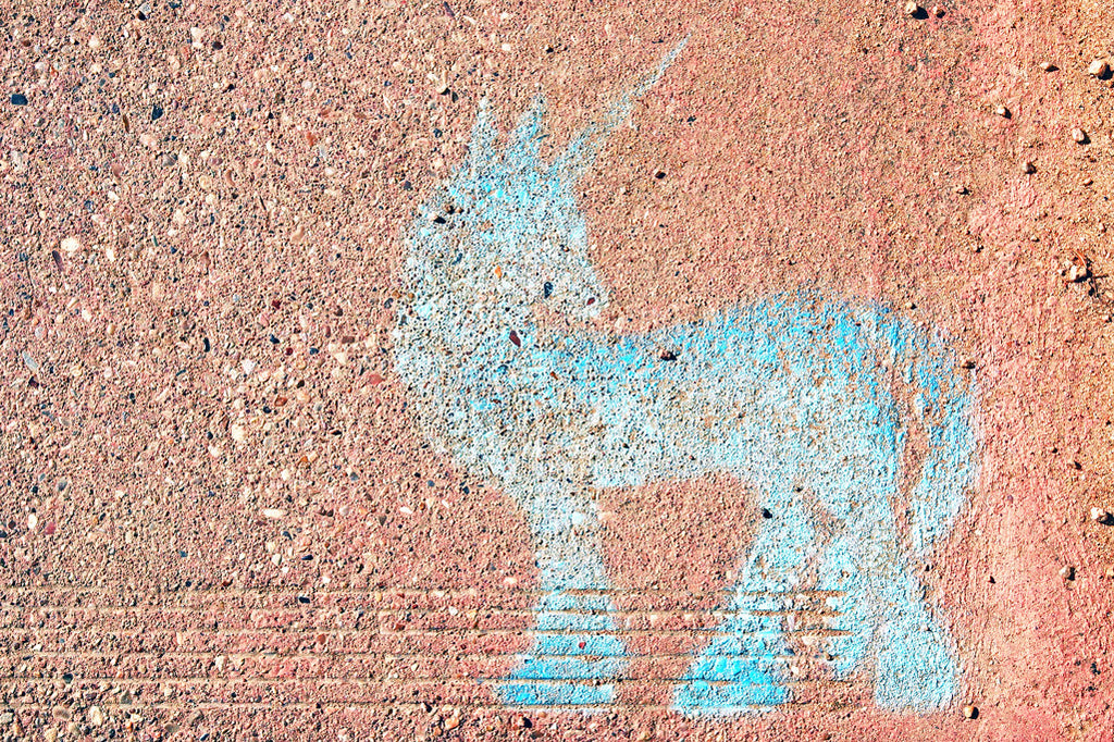 "Street Unicorn" ~ Unicorn street art in Austin, TX. Photo by Ann Woodall