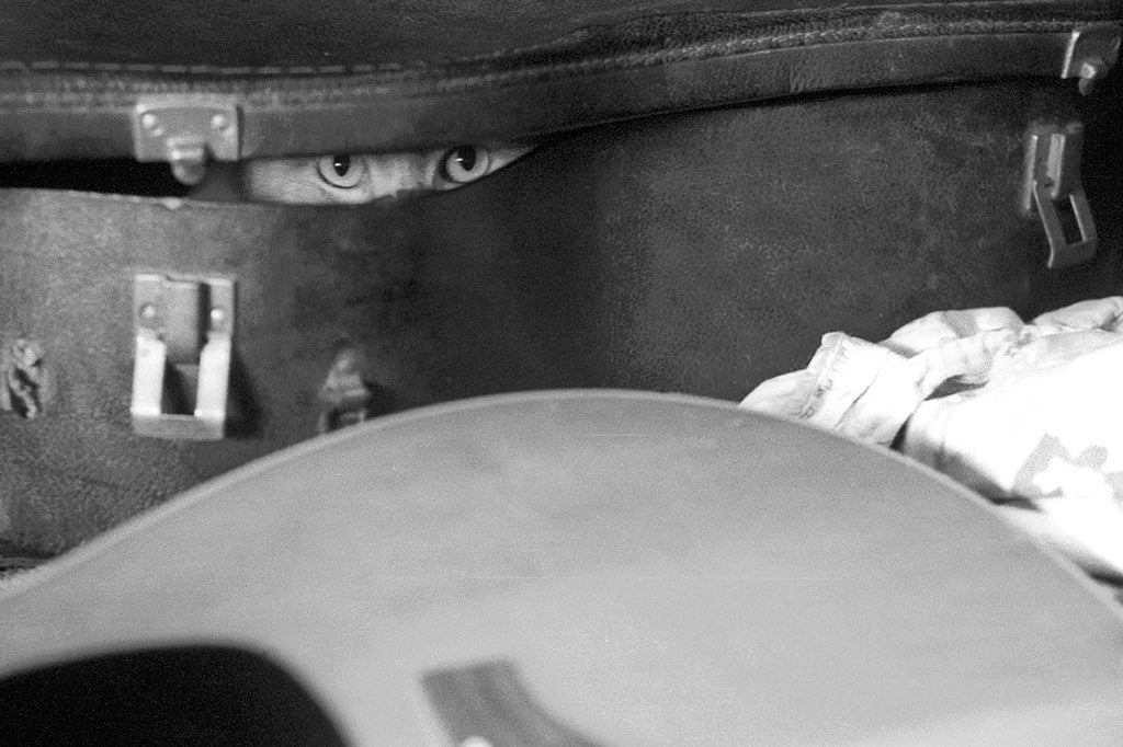 "Willie Cat" ~ Willie the cat hiding inside a guitar case. Photo by Ann Woodall