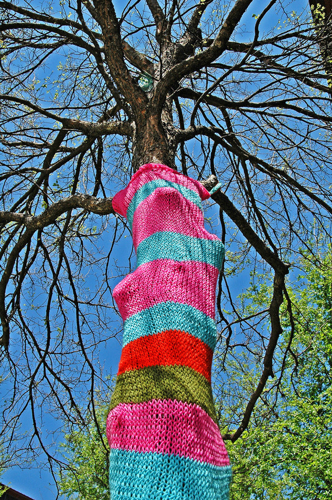 "Yarn Bomb #1" ~ A tree with a knitted tree sweater. Photo by Ann Woodall
