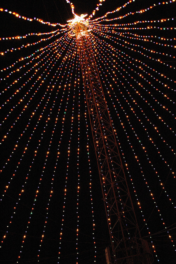 "Zilker Xmas Tree #3" ~ The Zilker Park Christmas tree in Austin, TX. Photo by Ann Woodall