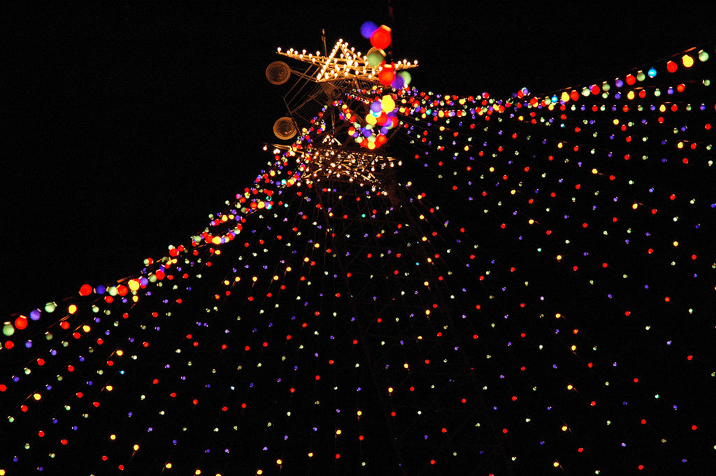 "Zilker Xmas Tree #6" ~ The Zilker Park Christmas tree in Austin, TX. Photo by Ann Woodall